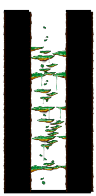 南部森林訓練場Ⅱ