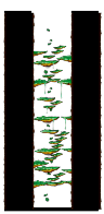 北部森林訓練場Ⅴ