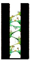 北部森林訓練場Ⅷ